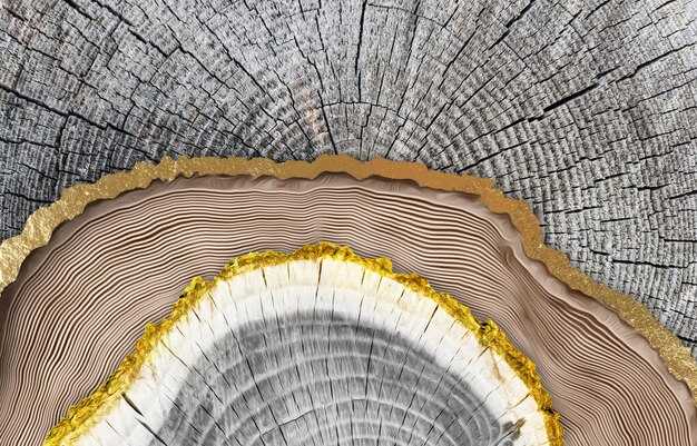 Структура слова: корень, приставка и суффикс