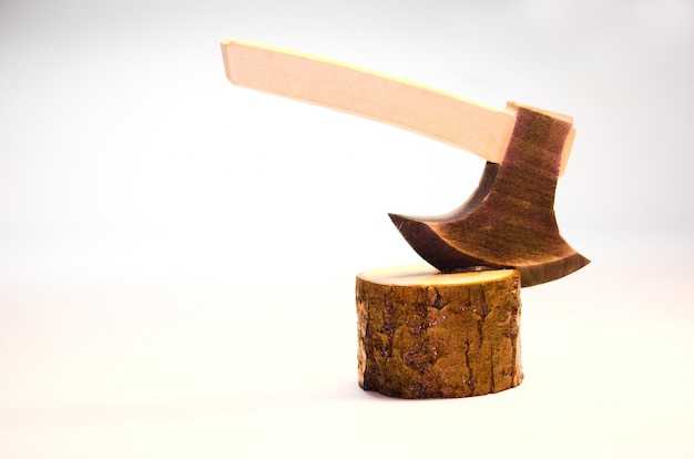 Использование морфемного разбора в экологической терминологии