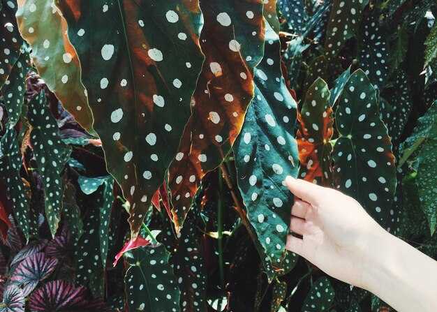 Нужные инструменты для работы