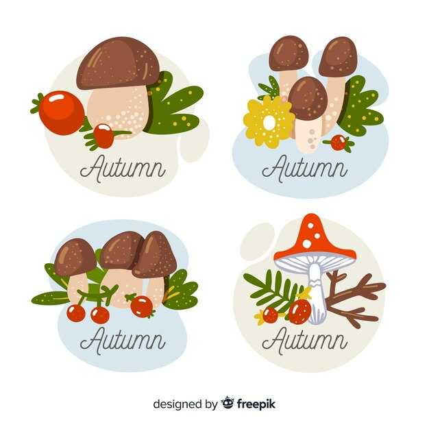Как сделать аппликацию из бумаги