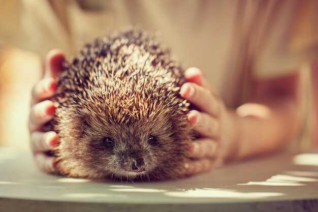 Дружба как ключ к спасению