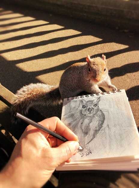 Карандаши и краски: что выбрать для различных техник?