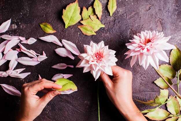 Сбор материалов для работы