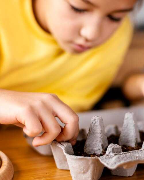 Формирование основы: строительство стен и крыши