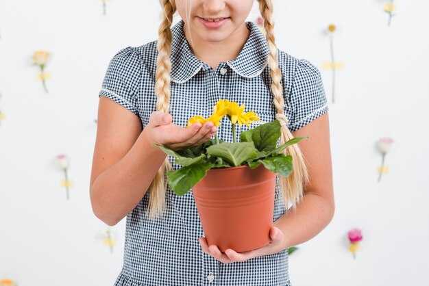 Растения, способствующие обучению детей