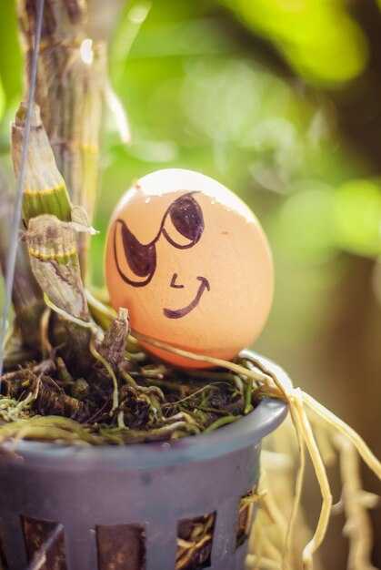 Рекомендации для групповых дискуссий на основе сказки