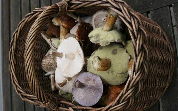 Использование цвета для создания настроения