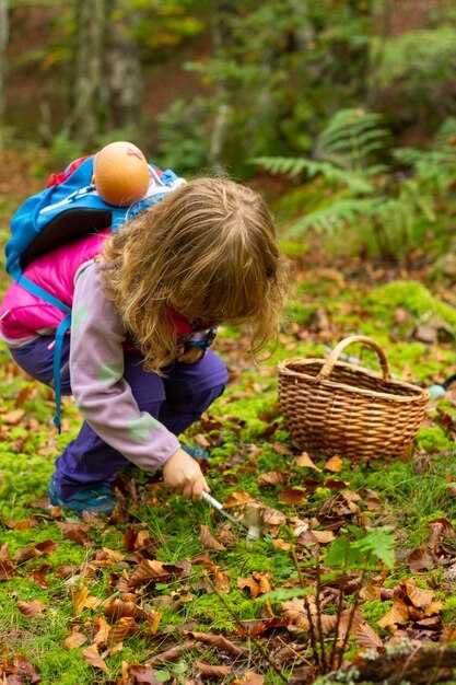 Образование и профессиональная подготовка