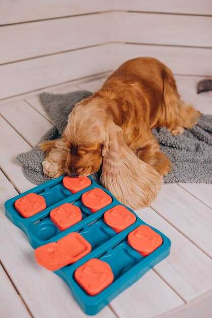 Обсуждение эмоций и впечатлений после игр