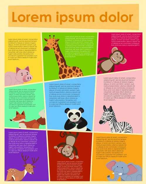 Создание макета: пошаговая инструкция