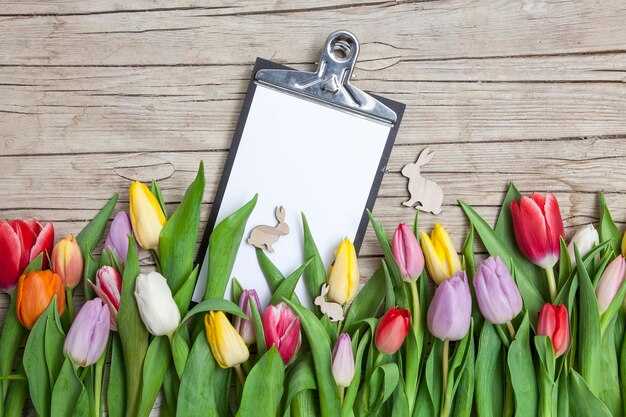 Важность сна и отдыха для улучшения когнитивных функций