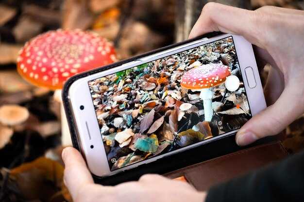 Как правильно сформулировать запрос для поиска