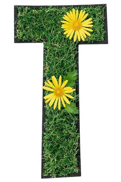 Таблицы рифм: как создать идеальные сочетания