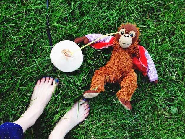 Основные условия для игры