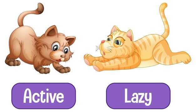 Лучшие потешки про кошек для развлечения малышей