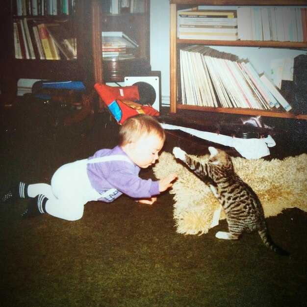 Примеры смешных рифм и фраз