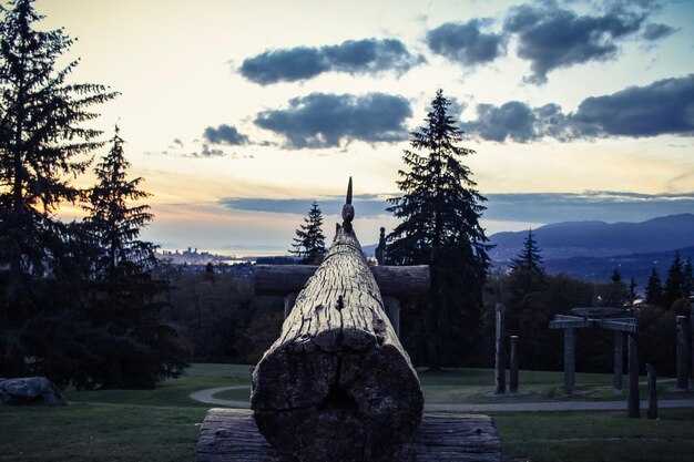 Народные традиции и праздники: погружение в культуру