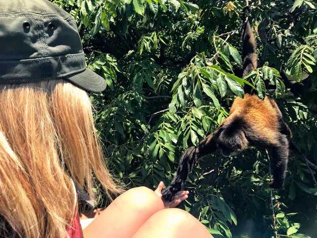 Как сохранить лесных обитателей и их среду обитания