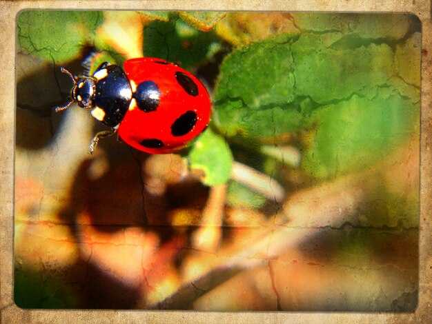 Модные тенденции: использование образа в текстиле