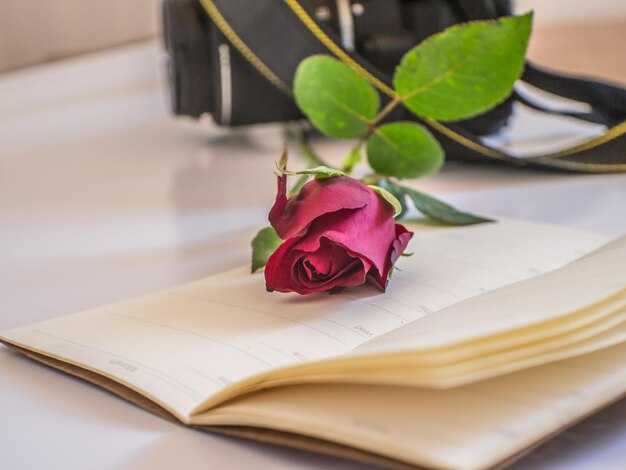 Формирование команды: роли и обязанности