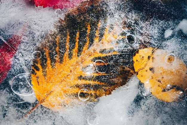 Выбор инструментов для набрызга