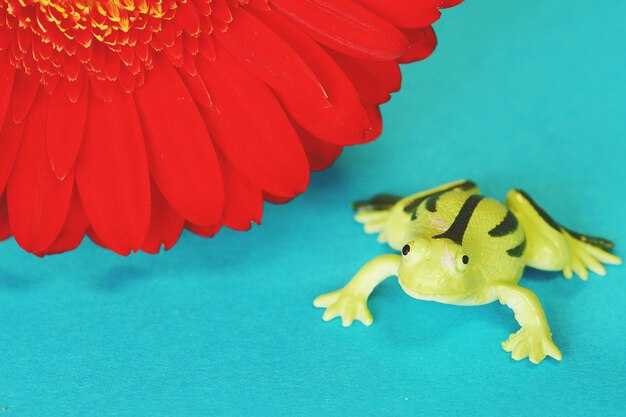 Техника окрашивания и отделки