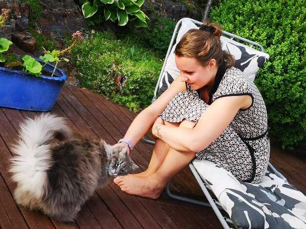 Уникальные и оригинальные скороговорки на тему домашних животных