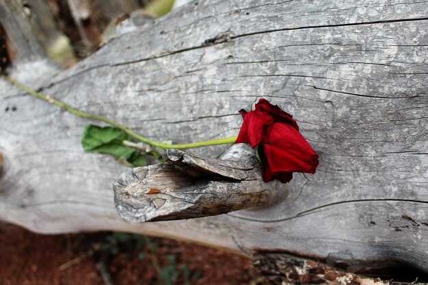 Ключевые сражения войны и их последствия