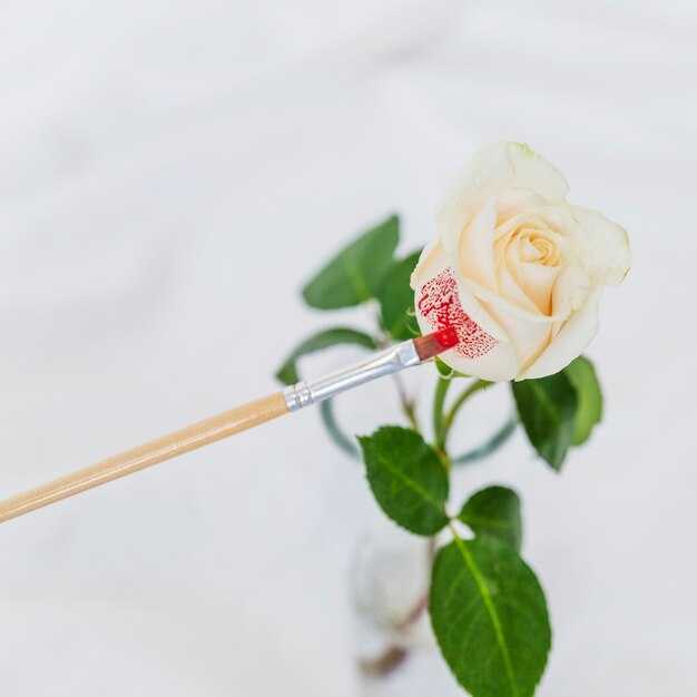 Влияние войны на социальные структуры общества